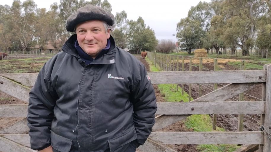 La Exposición Rural de Palermo: un escenario de innovación genética y pasión ganadera