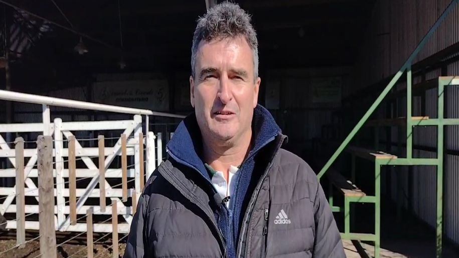 Daniel Blanco Remate de Daniel Blanco y Cía. S.A. & Daniel Civardi S.A.