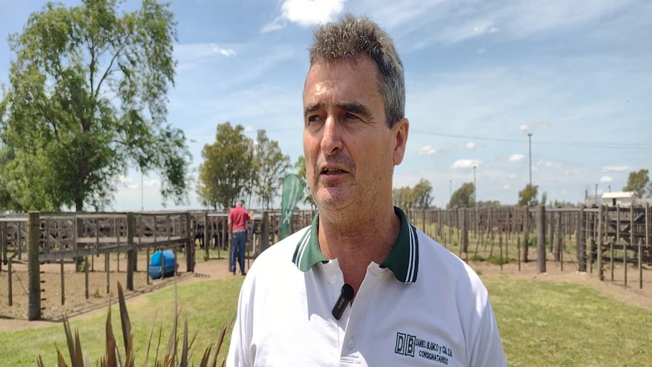 Daniel Blanco Remate de Daniel Blanco y Cía. y Consignataria Daniel